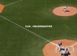 乐竟体育app_王义夫，六朝元老的射击坚守传奇