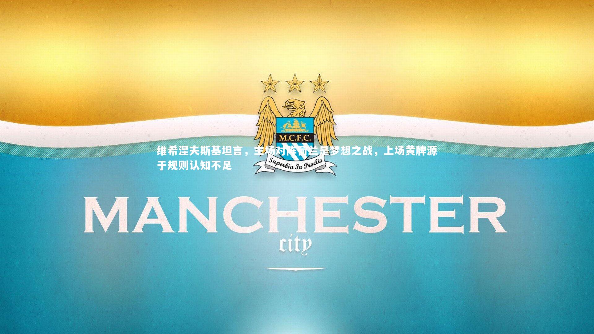 维希涅夫斯基坦言，主场对阵荷兰是梦想之战，上场黄牌源于规则认知不足