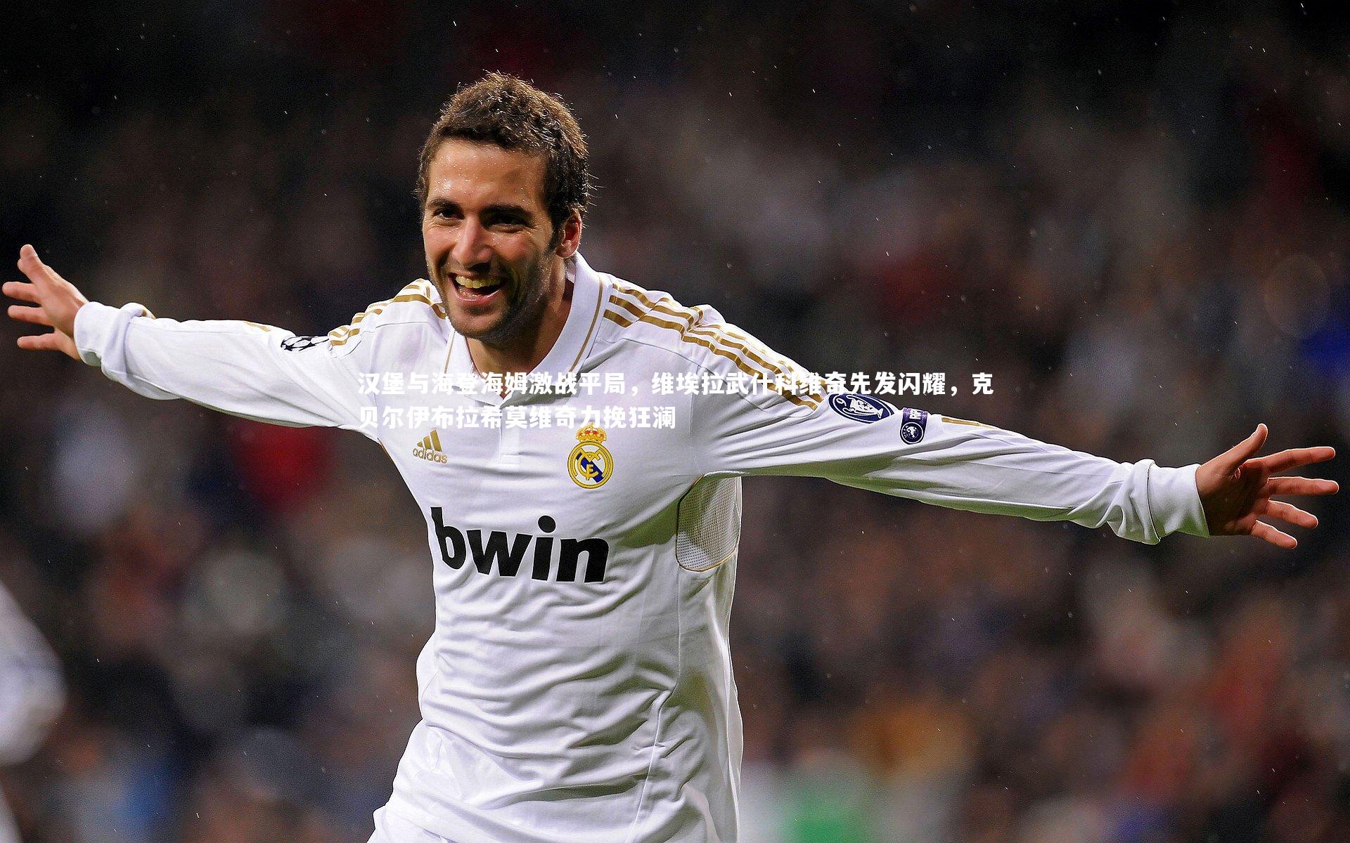 汉堡与海登海姆激战平局,维埃拉武什科维奇先发闪耀,克贝尔伊布拉希莫维奇力挽狂澜